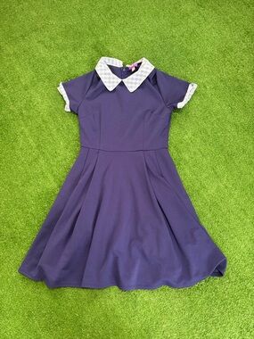 Nique Navy Fit-and-Flare Dress with Plaid Collar